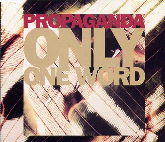 Only one word - Virgin